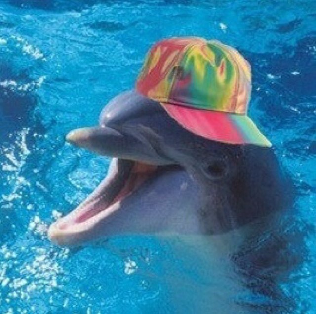 i got 99 problems but a fish aint one #originalbadassaccount