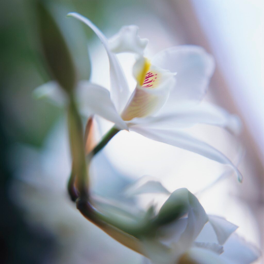 A relaxation centre where both men & women can enjoy beauty & hair treatments in a calm, tranquil atmosphere.