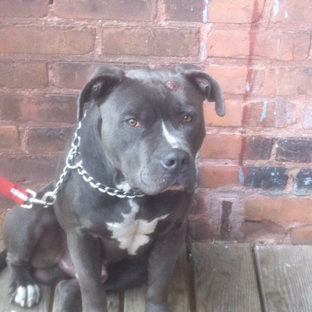 True_Stxry's profile picture. #PHC #DeaDly #Martial Artists #teamLebron #TBN#SluttyBoy