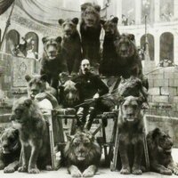 Steve (@stevedoerksen) 's Twitter Profile