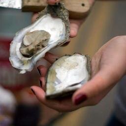Columbia's Largest Oyster Roast | November 24th | 11am - 6pm | Hampton-Prestion Mansion