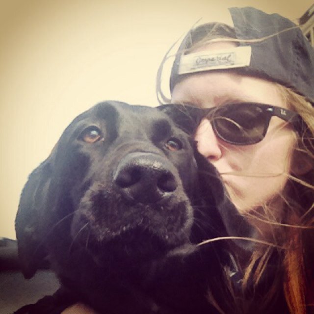 SgilLyBrid3's profile picture. 