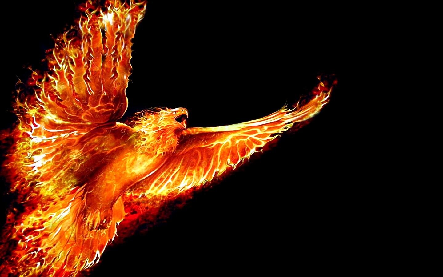 Team Phoeniiiiiiiiiiiiiiiiiiiiiiiiiiiiiiiiiiix #1 and you know it baby.