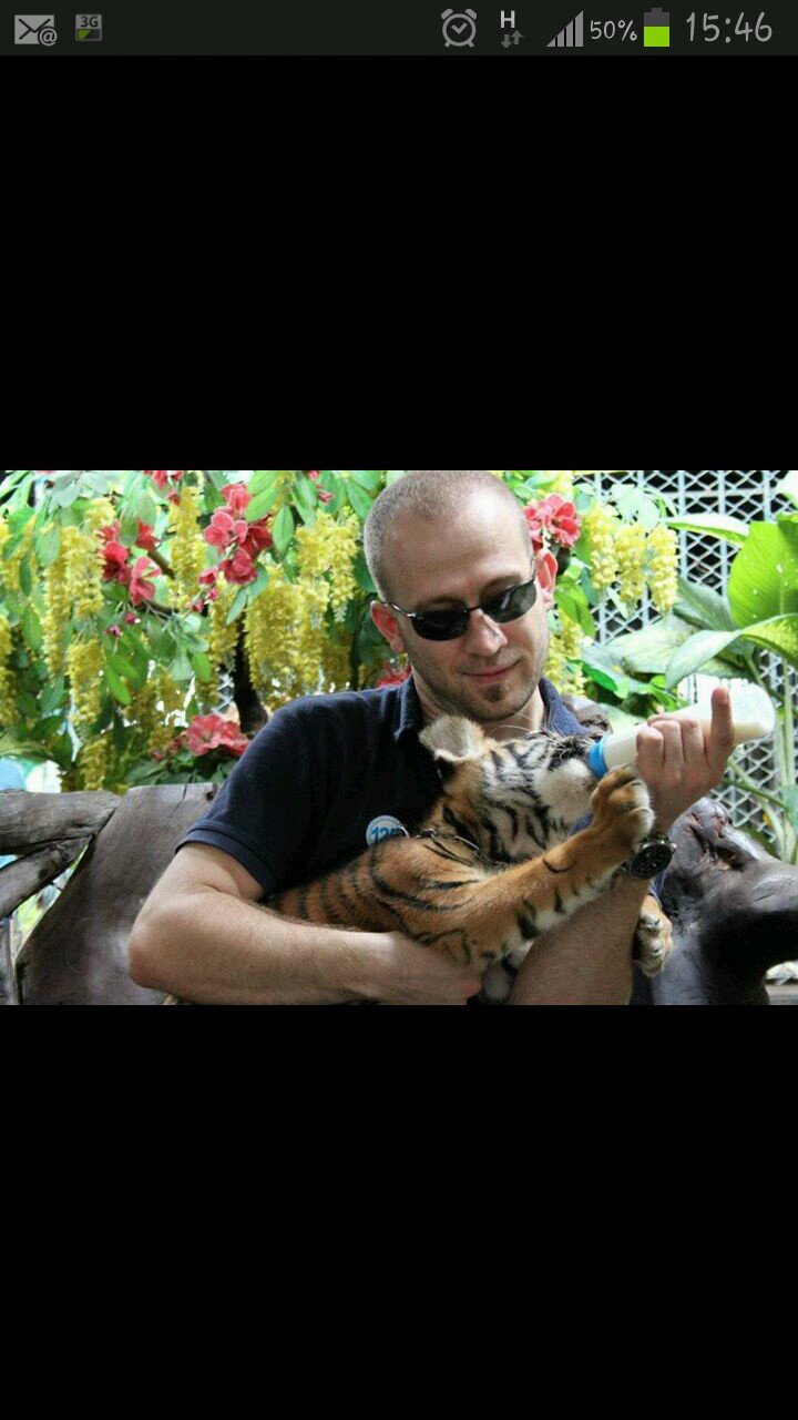 tirtiles's profile picture. 