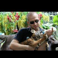 Kırmızı~5~Beş (@tirtiles) Twitter profile photo