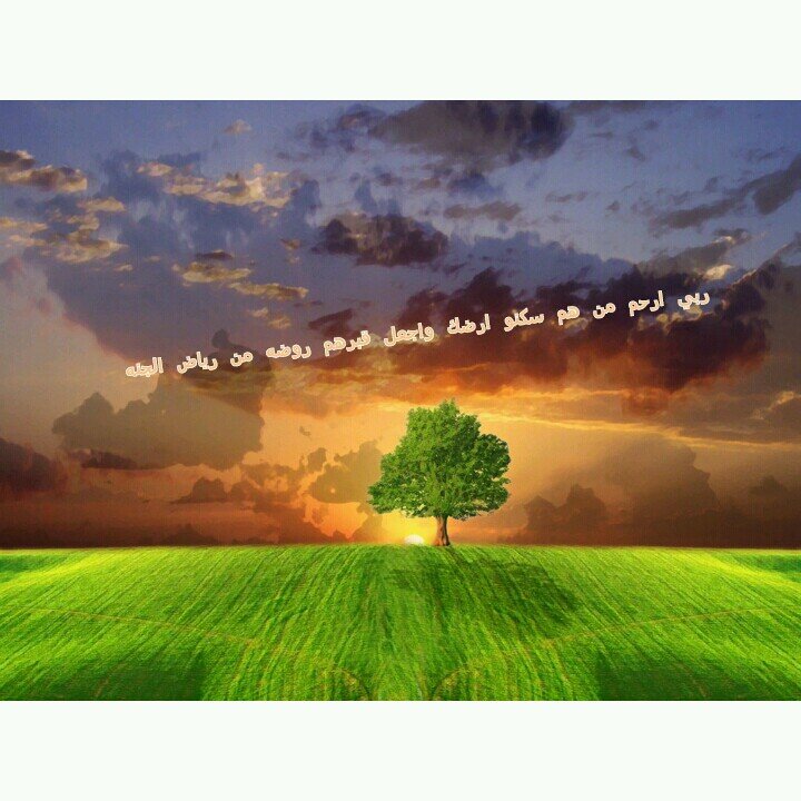 SAD19931's profile picture. ربي ارحم من هم سكنو الارض واجعل قبورهم روضه من رياض الجنهinstgrem sadkh1993