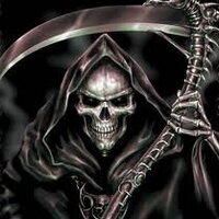 hardashell0187 (@tfultzone187) 's Twitter Profile