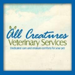 ArlingtonVet's profile picture. Your pet loves you unconditionally. The best way you can love them back is with All Creatures’ dedicated veterinary care to keep them comfortable and healthy.