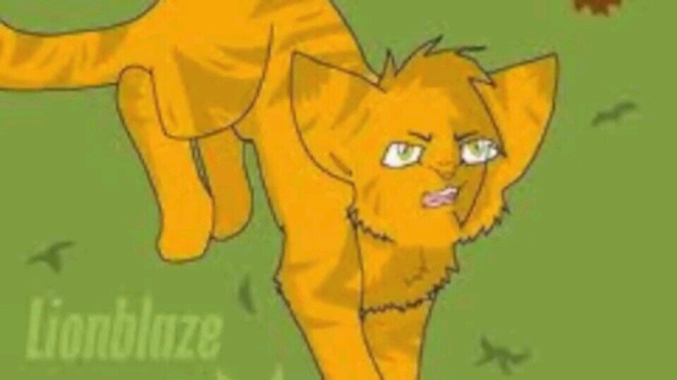 I'm YellowStar! I'm the Leader of BlazeClan! #Evil (Mate: @Berry_Kit21) (Clan: None) (Male) (Kits: None)