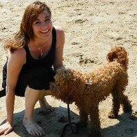 Claire Lavia (@lavia) Twitter profile photo