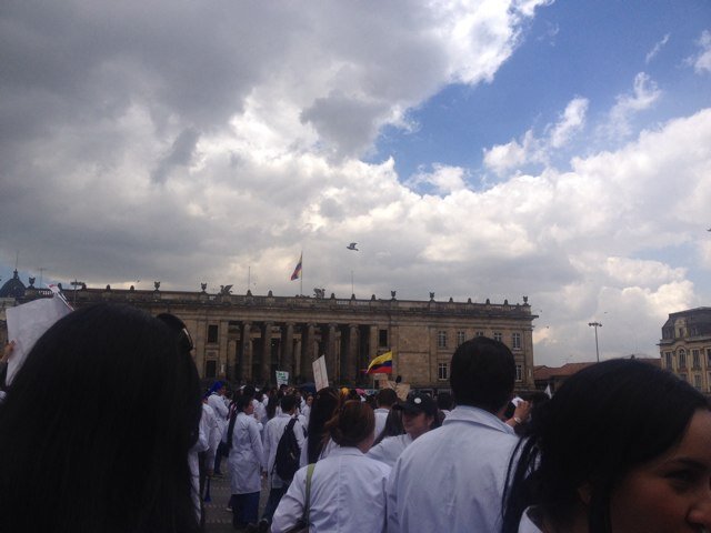 caritoo2486's profile picture. 