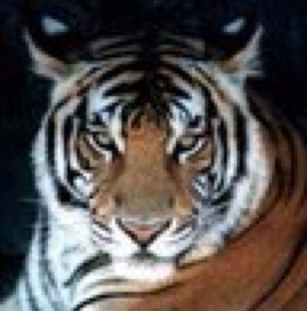jurajbojkovsky's profile picture. digital banking payments networks computers security technology crypto ai