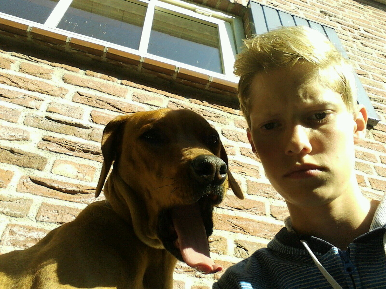 DESI, THE DOG - SVO C1 - FEYENOORD - MARNIX havo 2- OTTERLO CITY