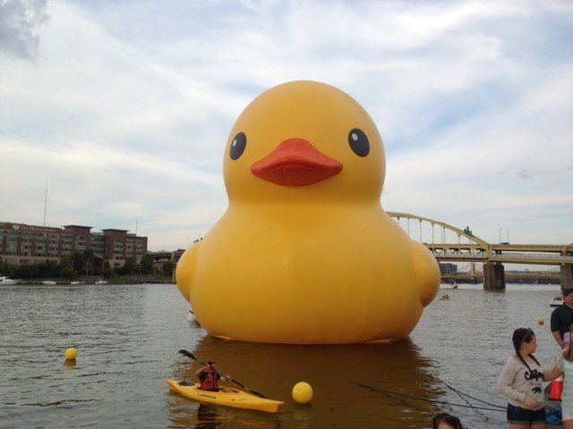 mfhughes1's profile picture. Production Designer: #HillbillyElegy / #NewMutants / Art Director: #HarryPotter 3 thru 7 / mom / wife /WV born feminist in the city of brotherly love