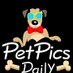 petpicsdaily (@petpicsdaily) Twitter profile photo