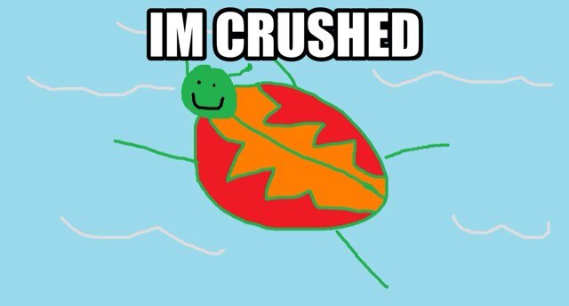 I'm a smashed waterbug, simple as that