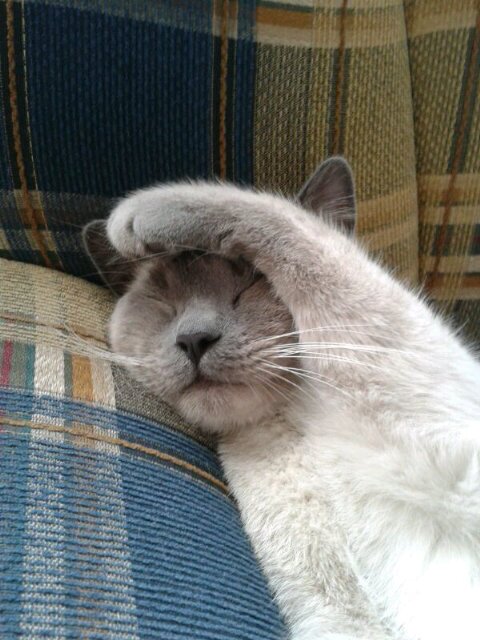 sandovlu1966's profile picture. 