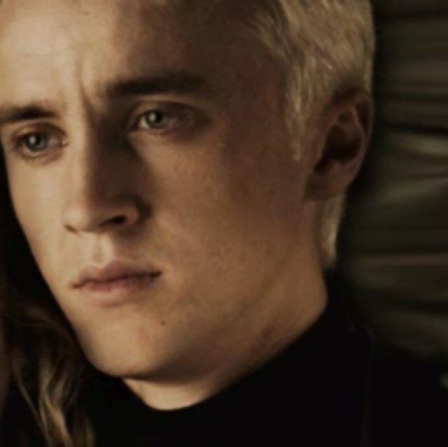 I'm Draco Malfoy, and welcome to Slytherin, home to the greatest witches and wizards. Head Boy. Hermione Grangers Boyfriend. Fromal Deatheater. Animagus wolf