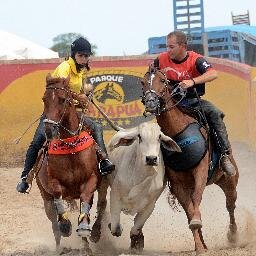 Ousadia & Alegria