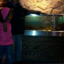 Dionne Carter - @olizey - Twitter