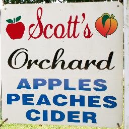 Apples, peaches, and cider