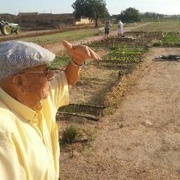 Hablando de el campo desde el año 1943. Me crie en una sajurda bebiendo leche de cabra en el año la hambre.