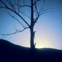 rdad13 (@fahadalmalike) Twitter profile photo
