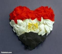 مصرى وطنى ثورى بحب البلد ونفسى أشوف مصر دى أم الدنيا ------- أعبر عن رأيى بكل حرية وبدون اى تجريح او احراج