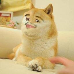 Cool Beans,yo