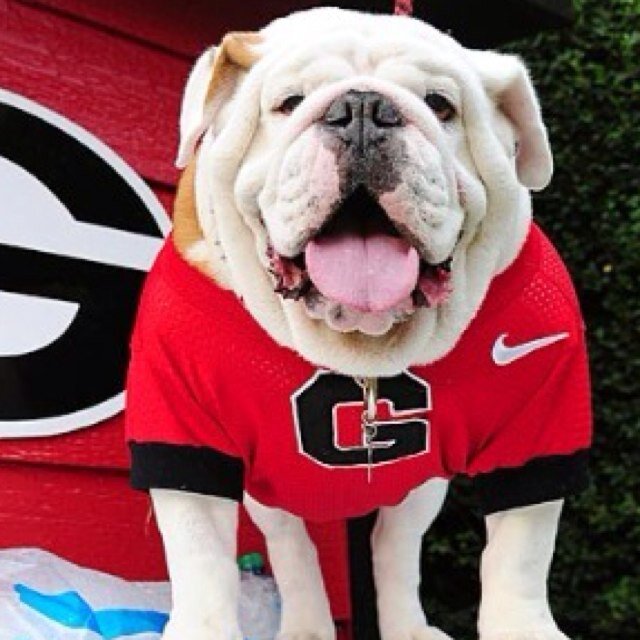 braddawg721's profile picture. 