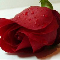 *، (@hams5011) Twitter profile photo