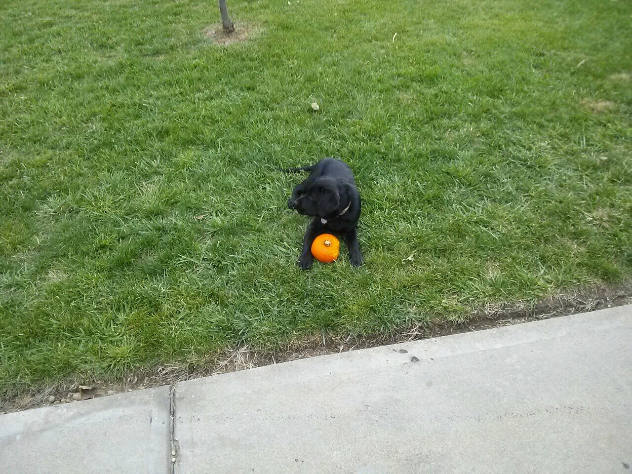 pastorgreg8767's profile picture. 