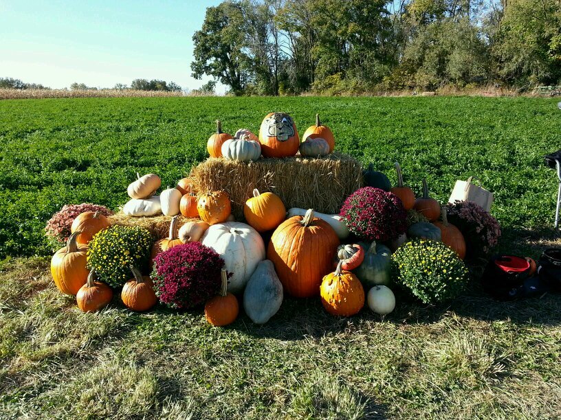 AlphaCityTrek's profile picture. 