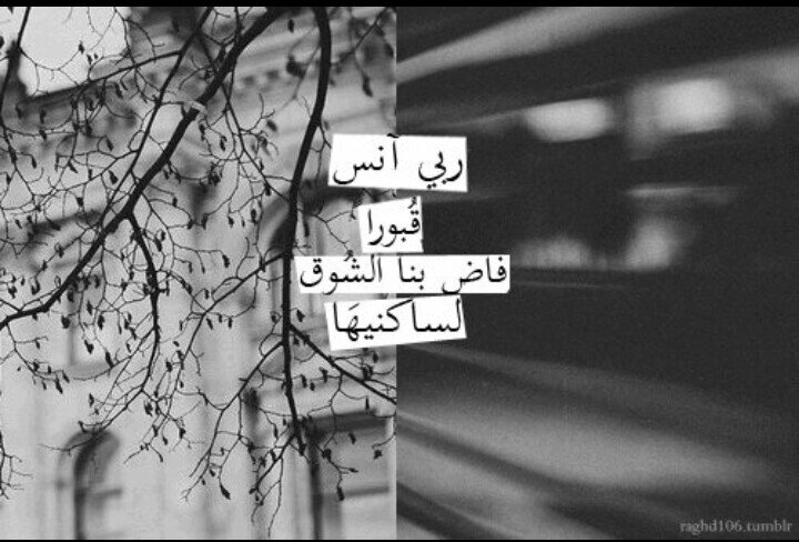 الخآآص مهمل ~
