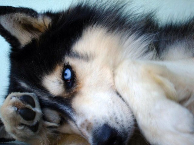 Sup guys