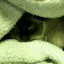 Kristy Sipe - @KristySipe1 - Twitter