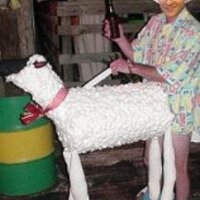 J. Stoltzfus (@jstoltzfus4) 's Twitter Profile