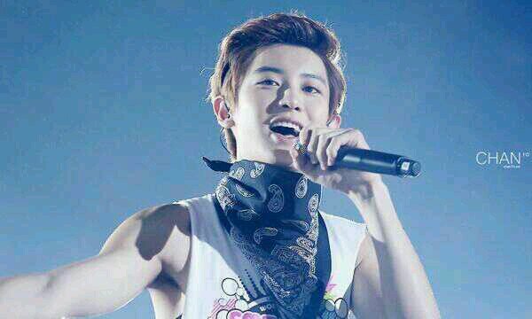 codenameDO's profile picture. I stan derps ♡  -- @xiujae is DO for my CHAN  [Semi-hiatus]