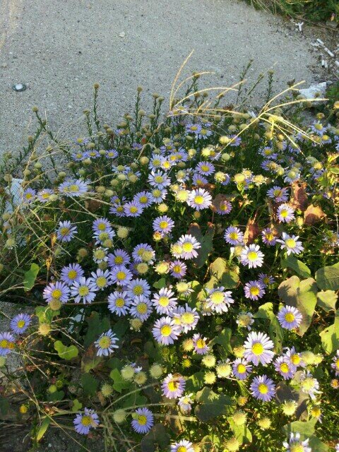 ollehkt305's profile picture. 