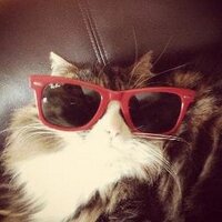 L D (@l___d_____) 's Twitter Profile Photo L D (@l___d_____) 's Twitter Profile Photo