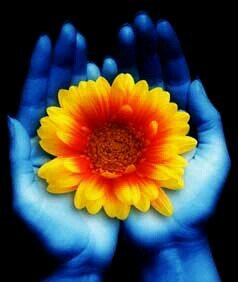 kai_wellness's profile picture. Independent Massage therapist, Aromatherapy Specialist