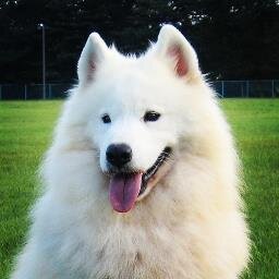 とりあえず❤️押してまわるひと。
中堂系の如く『クソが』と言いたくなるリストに加えられることが頻発したので、自己紹介しません。