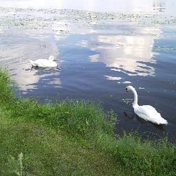 ZorroMokotow's profile picture. 