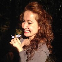 Derya Aksu (@drybutterfly) Twitter profile photo