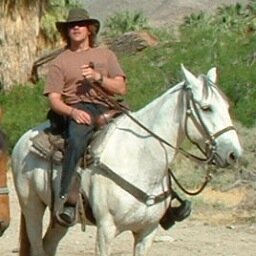 stevehuttnz's profile picture. 