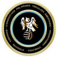Swansea Schools U'15 & U’16 (@ssfau15s) 's Twitter Profile Photo