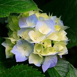 yasarkhan4321's profile picture. 