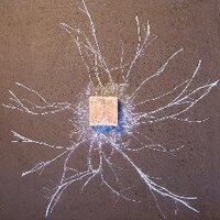 FungusProf (@fungusprof) 's Twitter Profile