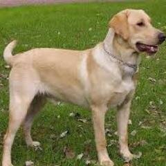 easytoprogram's profile picture. 