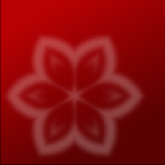 strzyzyk's profile picture. 